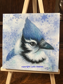 Critter Squares - Winter Blue Jay CP e-Packet